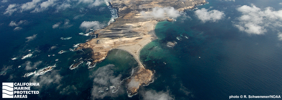 aerial view of Point Bennett, San Miguel Island